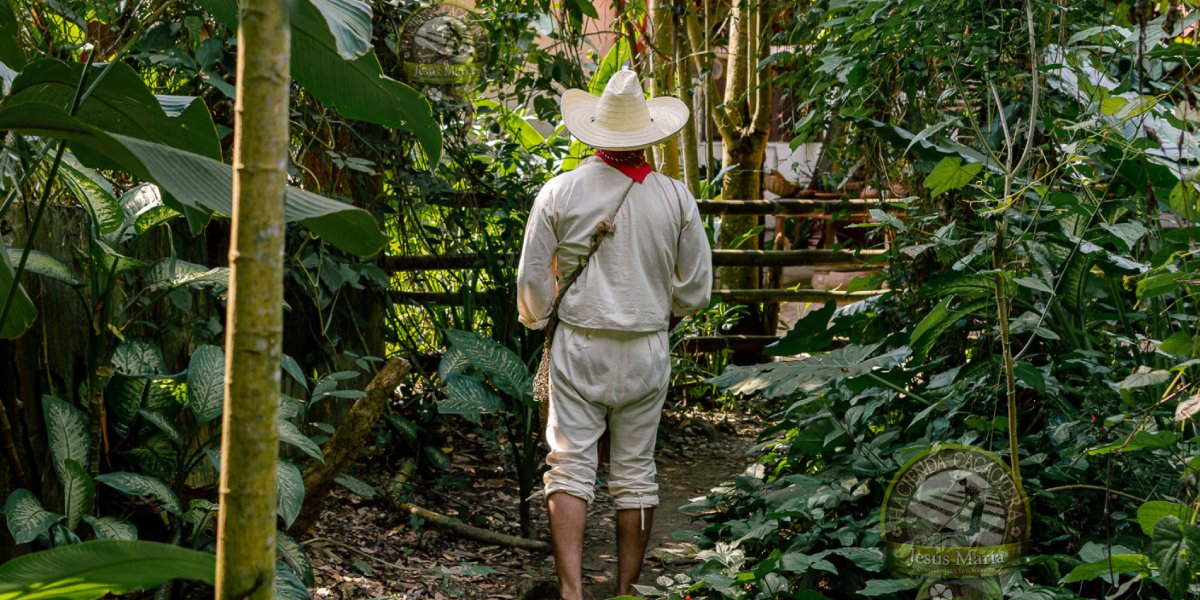 La vida en una Hacienda Cacaotera